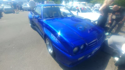 Breitbau, Blau