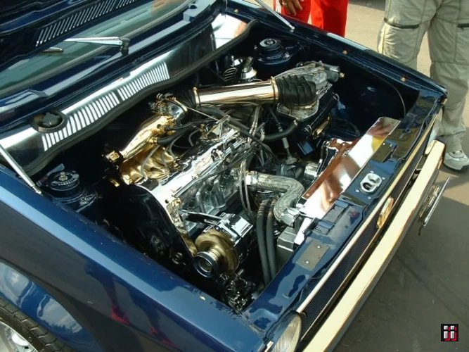  Bild "01441" in der Kategorie "VW-Blasen in Luckau". 