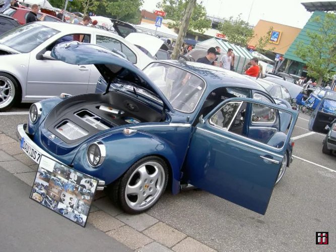  Bild "01537" in der Kategorie "Käfer". 
