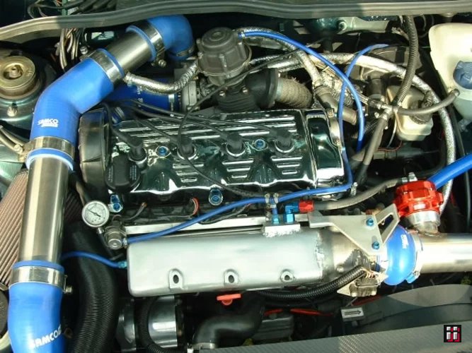  Bild "01481" in der Kategorie "VW-Blasen in Luckau". 