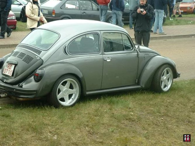  Bild "01160" in der Kategorie "Käfer". 